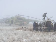 IMG 7317 750x500