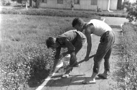 кто не летает тот рисует Звезда 1986