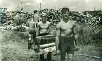 Заготовка дров.160 ВАУЛ.