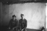 Кравцов  Соболь