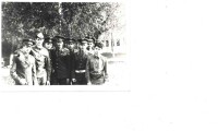 Викинги