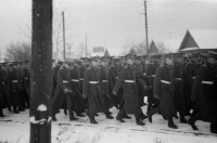 Викинги 7 ноября 1987 год