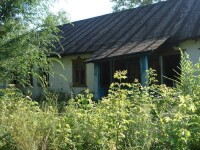 dsc00889136