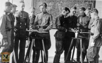 svvaul_195